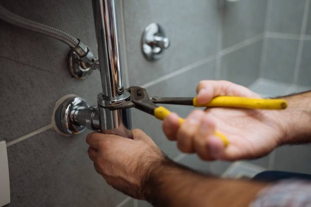 Best Plumbing Services Near Me  in Manteno, IL